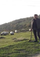 G&uuml;m&uuml;şhane'de Kenenin Isırdığı &Ccedil;oban Hayatını Kaybetti