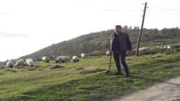 Gümüşhane'de Kenenin Isırdığı Çoban Hayatını Kaybetti
