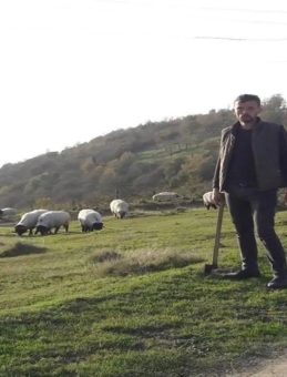 Gümüşhane'de Kenenin Isırdığı Çoban Hayatını Kaybetti