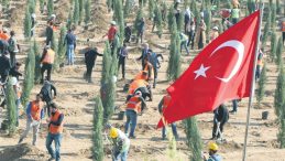 Hastaya Kan Ormana Can
