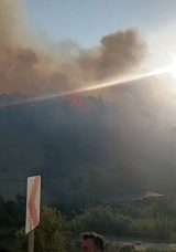 Hatay’da Ormanlık ve Çamlık Alanda Yangınlar Kontrol Altına Alındı