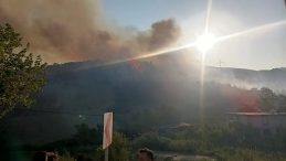 Hatay’da Ormanlık ve Çamlık Alanda Yangınlar Kontrol Altına Alındı
