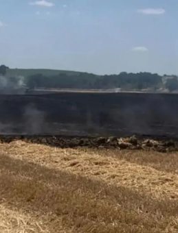 Hayrabolu'da 15 Dönüm Buğday Tarlası Kül Oldu