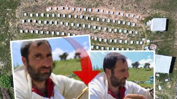 Her Seferinde 2 Çay Kaşığı Miktarında, Kilogramı 45 Bin Lira! Mucizevi Besin Artık Yerli Olarak Üretiliyor