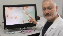 Her Yıl 60 Bin Kişi Hayatını Kaybediyor! 5 Farklı Türü Tespit Edildi! En Çok Sıcak Havalarda Yayılıyor