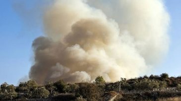 Hizbullah Genel Sekreteri Kasım: Lübnan Devleti İsterse İsrail'e Karşı Savaşmaya Hazırız