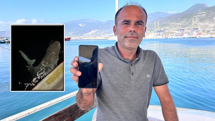 İskenderun’da Yakalanan Akdeniz Canavarı: Tam 2,5 Metrelik Köpek Balığı!