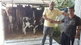İyi niyetinin kurbanı oldu! “Babama neden çağırdın?” diyerek bıçaklandı