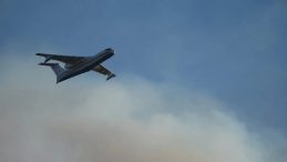 İzmir Aliağa&rsquo;daki Yangın Hızla Yayılıyor: 175 Ev Boşaltıldı, 550&rsquo;den Fazla Vatandaş Tahliye Edildi