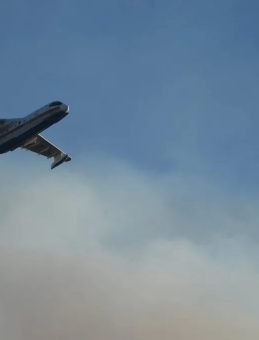 İzmir Aliağa’daki Yangın Hızla Yayılıyor: 175 Ev Boşaltıldı, 550’den Fazla Vatandaş Tahliye Edildi