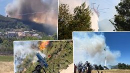 İzmir, Antalya, Tekirdağ, Bursa ve Sakarya'da Orman Yangınları! Havadan ve Karadan Müdahale Sürüyor