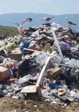 İzmir Büyükşehir'in 3 tesisi denetimden geçemedi: 9 milyonluk ceza!