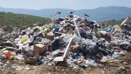 İzmir Büyükşehir'in 3 tesisi denetimden geçemedi: 9 milyonluk ceza!