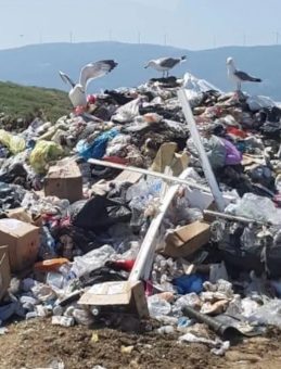 İzmir Büyükşehir'in 3 tesisi denetimden geçemedi: 9 milyonluk ceza!
