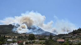 İzmir'in Menderes ve Seferihisar İl&ccedil;elerinde Orman Yangını