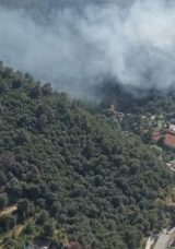 İzmir'deki Orman Yangınına Havadan ve Karadan M&uuml;dahale Devam Ediyor