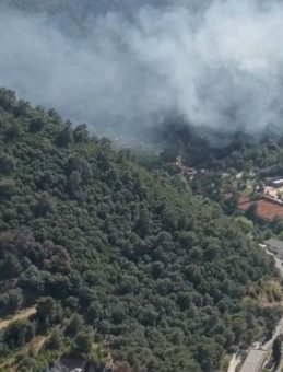 İzmir'deki Orman Yangınına Havadan ve Karadan Müdahale Devam Ediyor