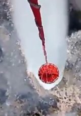 İzmir’de Arıların Sakinleştirilmesi İçin Tütsü Yakan Arıcı Ormanı Yaktı