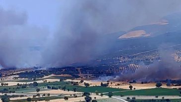 İzmir’de Orman Yangını: Hava ve Kara Ekipleri Seferber Oldu