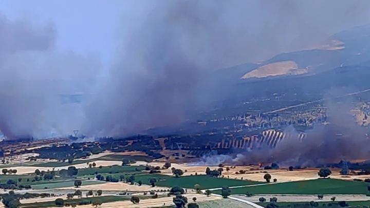 İzmir’de Orman Yangını: Hava ve Kara Ekipleri Seferber Oldu
