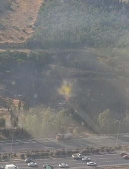 İzmir’de Tır Yangını Ormana Sıçradı