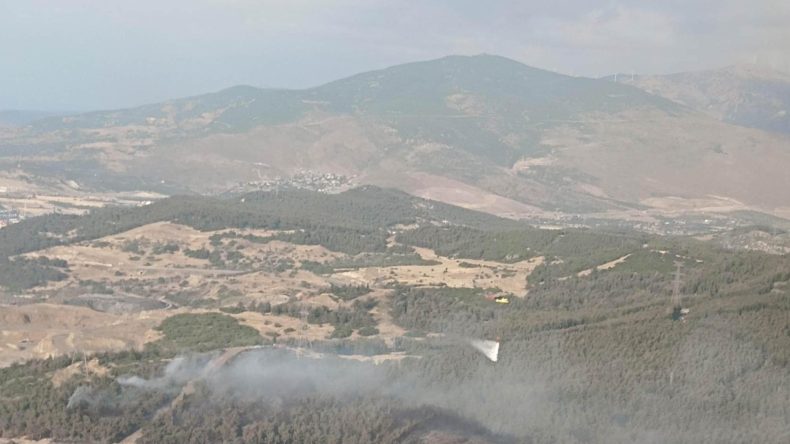 İzmir’deki Orman Yangını Kontrol Altına Alındı