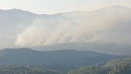 İzmir&rsquo;deki Yangının Boyutu G&uuml;n Ağarınca Ortaya &Ccedil;ıktı: Yangınlara M&uuml;dahale İkinci G&uuml;n de Devam Ediyor