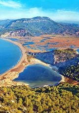 İztuzu Plajı’nda Caretta Yuvalarının Sayısı 300’e Yükseldi