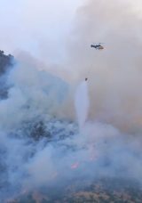 Kahramanmaraş'ta Orman Yangını