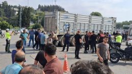 Kamyonun Çarptığı Kadın Hayatını Kaybetti