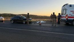 Karşıdan Karşıya Geçen Çifte Araç Çarptı: 1 Ölü, 1 Yaralı!