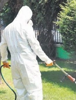 Kene Vakalarında Artış Devam Ediyor