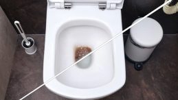 Klozetteki İnatçı Lekeleri Hızla Temizleyin! Bembeyaz Bir Sonuç İçin Bu Yöntemi Deneyin