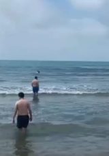 Kocaeli’de, denizde kayıp ihbarı ekipleri harekete geçirdi