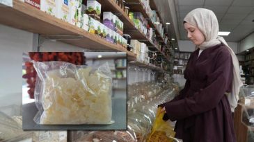 Kocaeli’de kilosu 10 bin liradan satılıyor! Dövülüp balla karıştırılarak tüketiliyor…