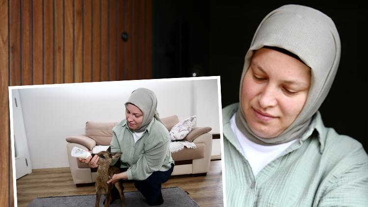 Köylüler Tarafından Bulundu, Genç Kadın Tarafından Bakımı Üstlenildi… ‘Evcilleştirilmesi Olası Değil, 3 Metre Sıçrayabiliyor’