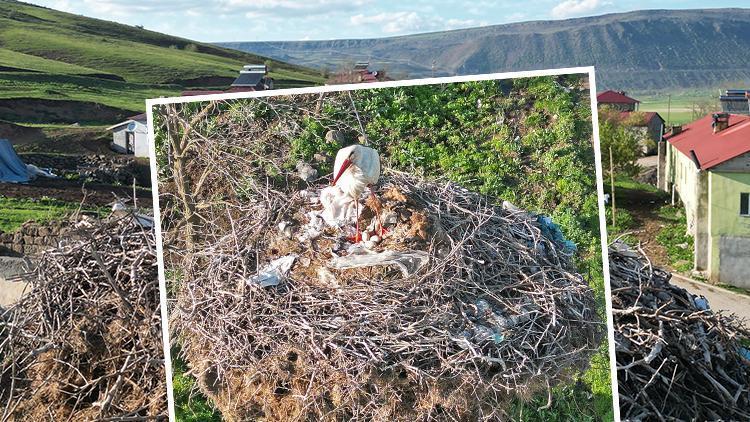 Köylüleri Hayran Bırakan Manzara: Yavrularının Başından Ayrılmadı