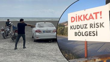 Kuduz Tehlikesi: 4 Mahallede Karantina Uygulaması Başlatıldı