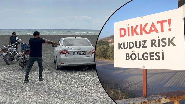 Kuduz Tehlikesi: 4 Mahallede Karantina Uygulaması Başlatıldı