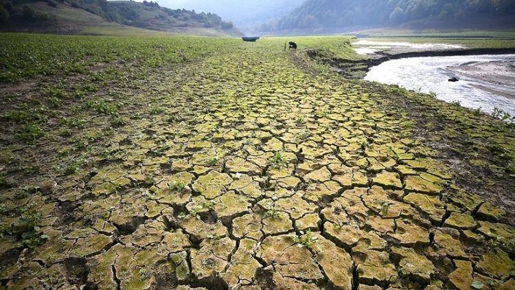 Kuraklık, Gıda ve Su Kıtlığı Tehdidi: Türkiye 2050’de Zor Günler Bekliyor