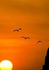 Kurana Başlama Duası: Kuran Okuma İbadeti İçin Önemli Dua