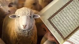KURBAN KESİMİNDE OKUNACAK DUALAR ARAPÇA/TÜRKÇE | Diyanet ile Kurban kesiminde hangi dualar okunur, nasıl tekbir getirilir?