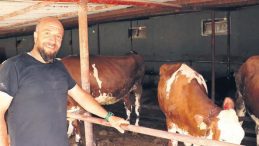 Kurbanlık Alırken Dikkat Edilmesi Gerekenler