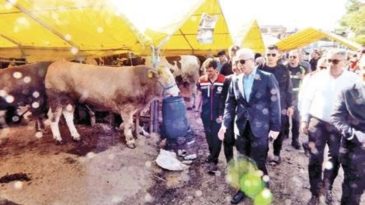 Kurbanlıkların Çoğu Satıldı