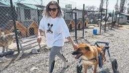Mama Bağışı Kişisel Servet Haline Dönüştü