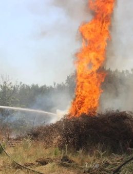 Manisa Akhisar Orman Yangını İki Gündür Sürüyor