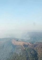 Manisa'daki Orman Yangını &Uuml;&ccedil;&uuml;nc&uuml; G&uuml;n&uuml;nde M&uuml;cadele Ediliyor