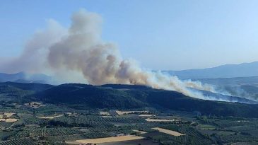 Manisa’da Orman Yangını