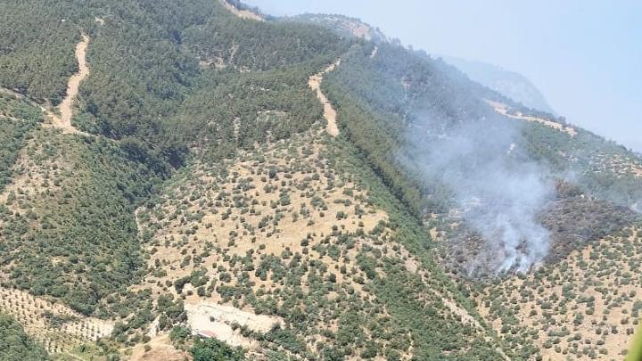 Manisa’da Orman Yangını: Havadan ve Karadan Söndürme Çalışmaları Başlatıldı