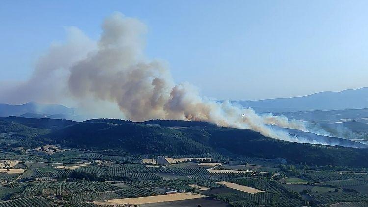 Manisa’da Orman Yangını